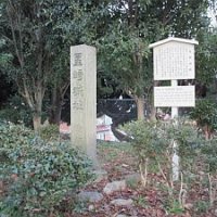 星崎城址2