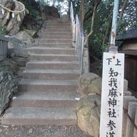 知我麻社1