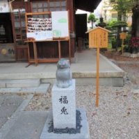 幸せのなでうさぎ