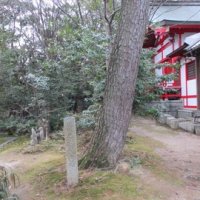 松平忠吉病気平癒の松