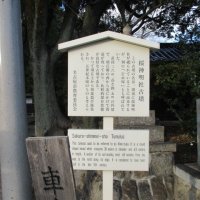 桜神明社古墳2