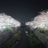 ライトアップ